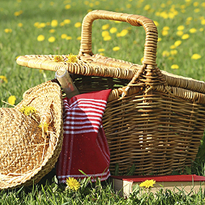 Picknickmand